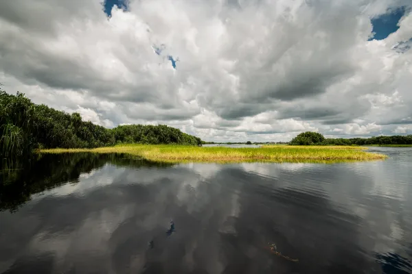 Air hitam Sungai Sebangau