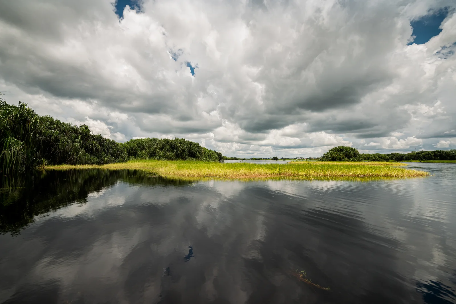 Air hitam Sungai Sebangau dan vegetasi riparian di Kalimantan Tengah, 21 Maret 2021.